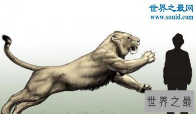 ​史上最大的猫科动物，残暴狮(长3.5米/重380千克)