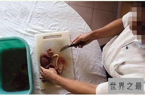 中国十大禁菜，丧尽天良婴儿大补汤/生吃猴脑太恶心