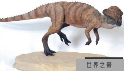 ​剑角龙：北美洲小型食草恐龙（体长2米/会功夫的龙）