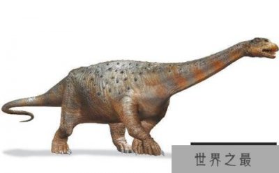 ​萨尔塔龙：南美洲食草恐龙（身长13米/体重8吨）