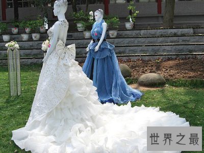 ​世界上最贵的婚纱，皇室婚纱(6500万)