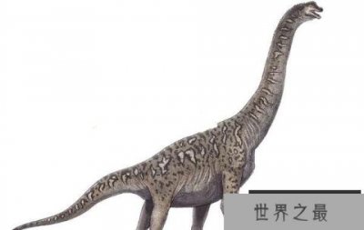 ​利加布龙：巨型食草恐龙，体长24米，生活在白垩纪早期