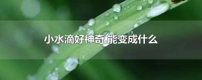 ​小水滴会飞到天上去是因为 小水滴好神奇能变成什么能变成什么还能变成什么