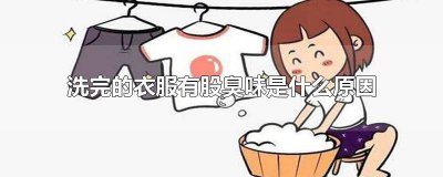 ​为什么衣服洗完后会有臭味 为什么衣服洗了还有臭味