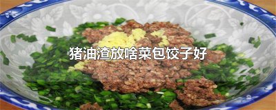 ​猪油渣包饺子用什么蔬菜馅 猪油渣配什么包饺子好吃