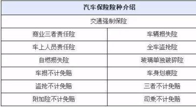 ​强制险是什么意思