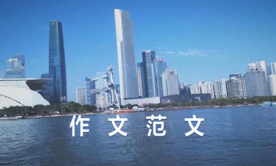 ​关于法律的作文（关于法律的初中生作文800字）
