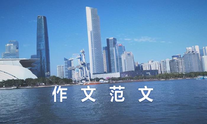 关于法律的作文（关于法律的初中生作文800字）