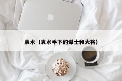 ​袁术（袁术手下的谋士和大将）