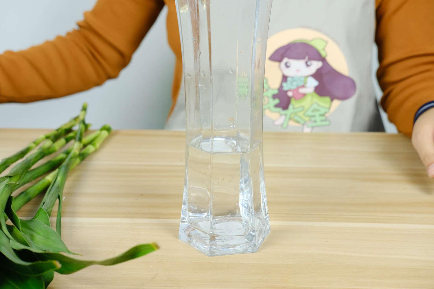 富贵竹 富贵竹