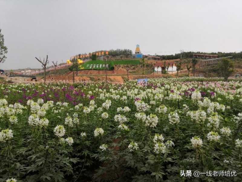 诚实的反义词是什么(常见的反义词汇总可以帮你忙)
