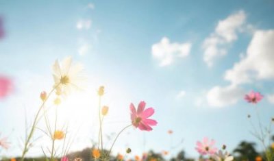 ​维生素软糖为什么不能吃太多 维生素软糖和普通软糖没有太大分别吗？