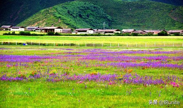 香格里拉独克宗古城系列(独克宗古城一一茶马古道之城)(5)