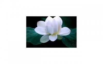 ​女孩子不理你怎么办（女孩不理你的应对方法有哪些）