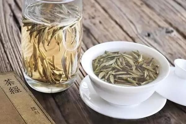 白茶有减肥功效吗 白茶减肥效果怎么样 白茶有减肥功效吗 白茶减肥效果怎么样