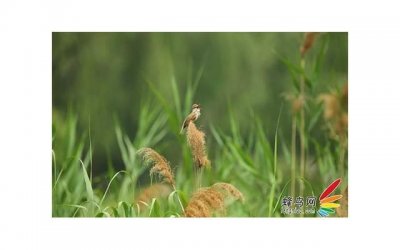 ​挽救我的婚姻，如何挽救婚姻？