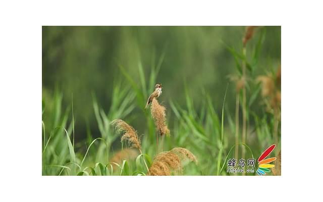 挽救我的婚姻,如何挽救婚姻? 挽救我的婚姻,如何挽救婚姻?