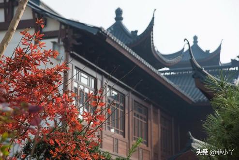 玉佛寺求什么最灵(玉佛寺地址在哪里)