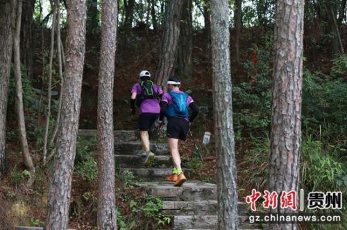 越野车挑战赛主题(越野车挑战赛载)-第2张图片-