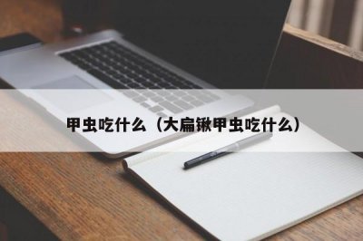 ​甲虫吃什么（大扁锹甲虫吃什么）
