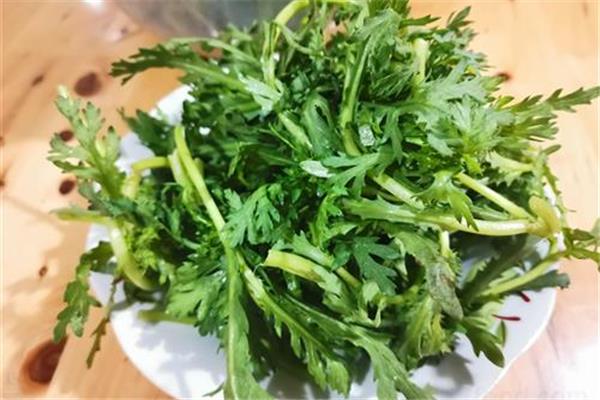 茼蒿是皇帝菜吗 茼蒿是什么季节的
