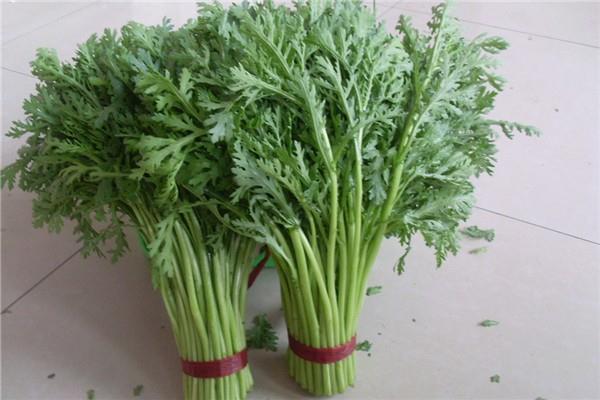 茼蒿是皇帝菜吗 茼蒿是什么季节的