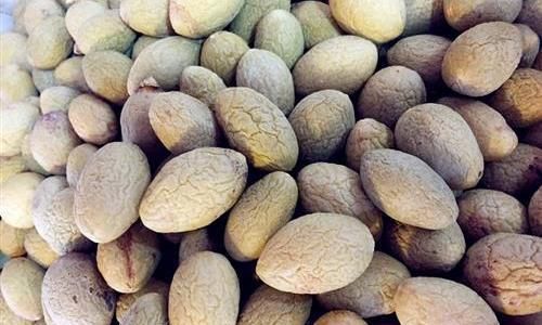 橄榄一天可以吃多少个合适