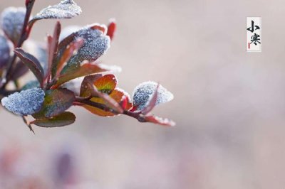 ​小寒节气适合搬家吗 小寒节气怎么养生