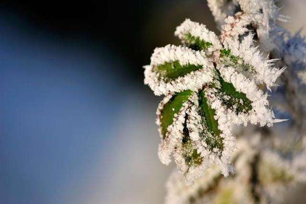 小寒节气适合搬家吗 小寒节气怎么养生