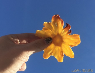 ​菠萝干的做法窍门（如何制作天然健康小零嘴，菠萝干做法窍门）