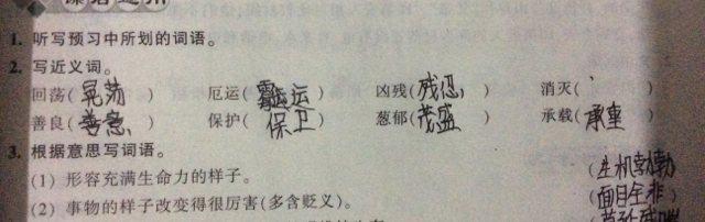 消遣的近义词（消遣是什么意思）