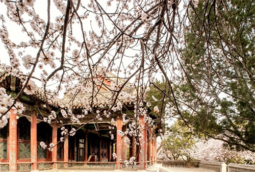 畅春园是清朝皇家园林，位于北京海淀区