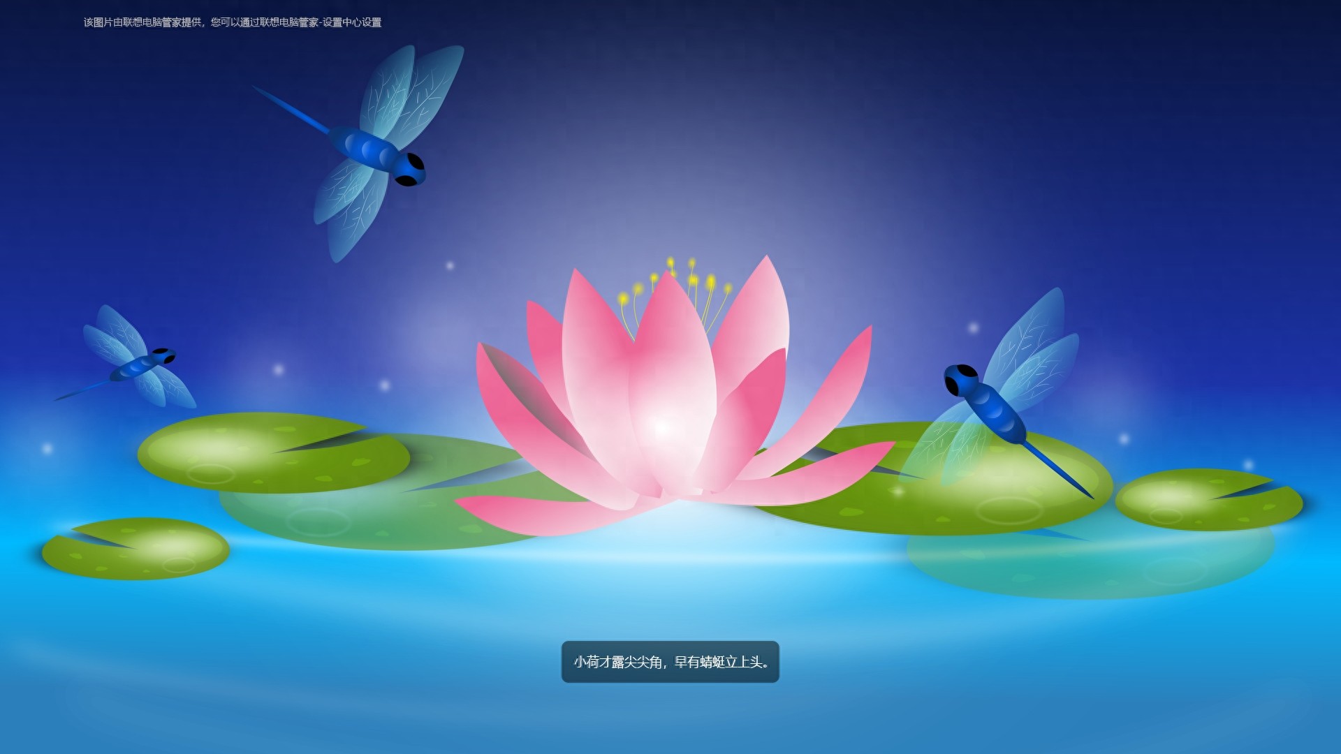 高清、清新、唯美的1920x1080电脑桌面壁纸,赶快收藏吧