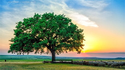 高清、清新、唯美的1920x1080电脑桌面壁纸,赶快收藏吧