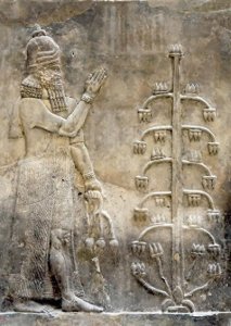 ​苏美尔人，为何被西方吹嘘得那么神奇？