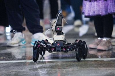 ​2024菠萝科学奖颁发 用群众喜闻乐见的形式科普