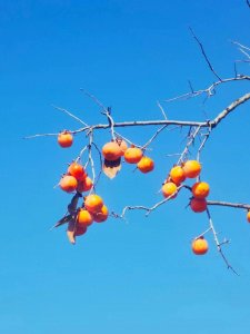 ​培养感恩的心的十八点（建议一读）