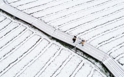 ​大美中国“醉美”雪景，这些照片难得一见（组图）