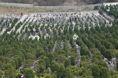 ​生活百科：如何在网上纪念逝去的亲人？网上祭扫、云祭扫方法