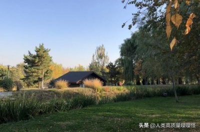 ​出片率超高还免费！沈阳的这个网红公园你去过吗？