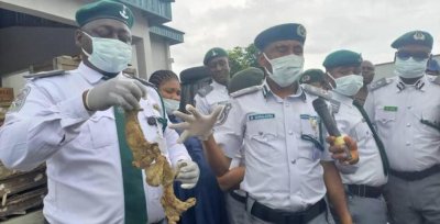 ​非法驴鞭走私中国，该对“以形补形”说不了