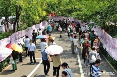 ​俊男靓女齐上山！来看七夕千佛山相亲大会举办首日现场热情高涨