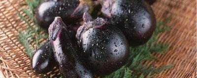 ​茄子可以和西红柿一起吃吗