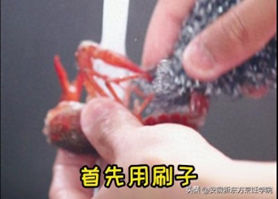 ​又到了吃小龙虾的季节，教你4步清理小龙虾，脏东西全都去干净