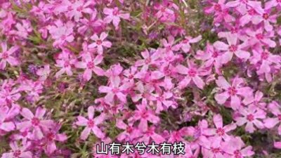 ​封龙山，位于石家庄元氏县，免费欣赏花海，封龙书院，战月亭等